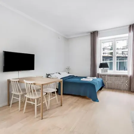 Wehost Modern Scandinavian In Trendy Kallio 赫尔辛基